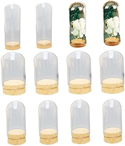 Staklena vitrina od 12pcs staklena staklenka sa zvonom s plutenom bazom radna ploča Središnja vitrina za pohranu cvijeća
