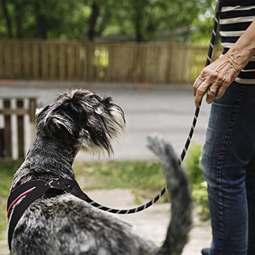 Toplive pseće povodac, jak 5 stopa, olovo za pse s udobnom podstavljenom ručicom i vrlo reflektirajućim užetom 150 cm x 1,2