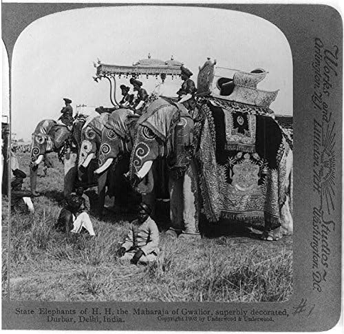 PovijesnaFindings Foto: Državni slonovi, H.H, Maharaja iz Gwalior, Durbar, Delhi, Indija, C1903, detaljno