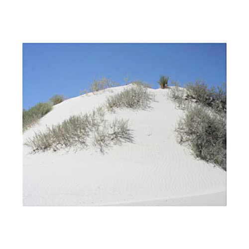 Travnata pješčana dina u bijelim pijescima boja 16x20 mat platno ispruženo u okviru spremno za objesiti originalnu fotografiju