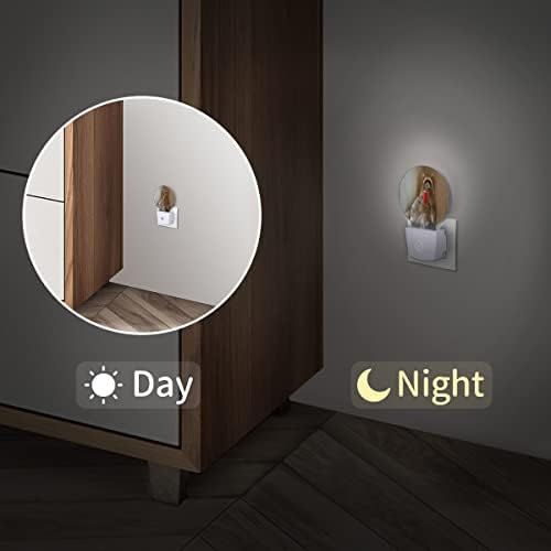 Uoyo Smiješno rakunsko piće noćno svjetlo utikač u zid Slatka životinjska LED noćna svjetla Auto pametni sumrak do zore senzor