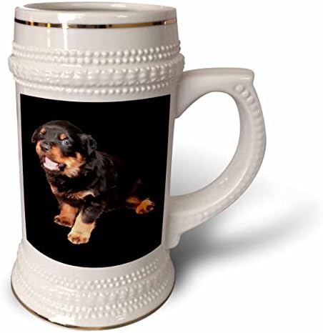 3Drose Slatko Rottweiler štene sa smiješnim izrazom - 22oz Stein šalica