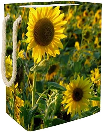 Plitko polje suncokreta žuta cvjetnica velika košara za rublje vodootporna sklopiva košara za odjeću organizator igračaka