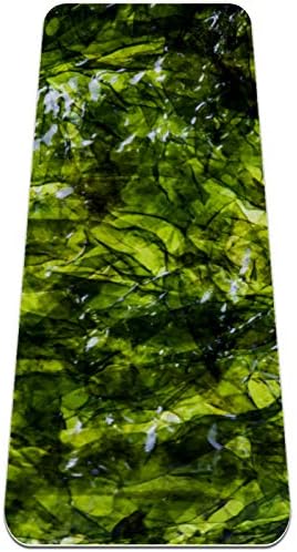 Izbliza vrhunske guste prostirke za jogu s teksturom zelene alge, ekološki prihvatljiva gumena neklizajuća podloga za zdravlje