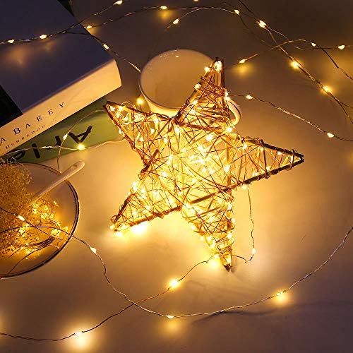 Engilen Fairy Lights 7,2 stopa 20 LED bakrene žice Svjetla Ukrasna svjetla baterija za rad za DIY, vazu, staklenku, Božić,
