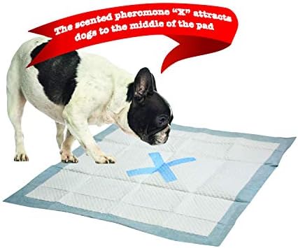 Mjesto je označeno posebnim upijajućim jastučićima za urin / jastučićima za štene / jastučićima za štene s ljepilom / jastučićima